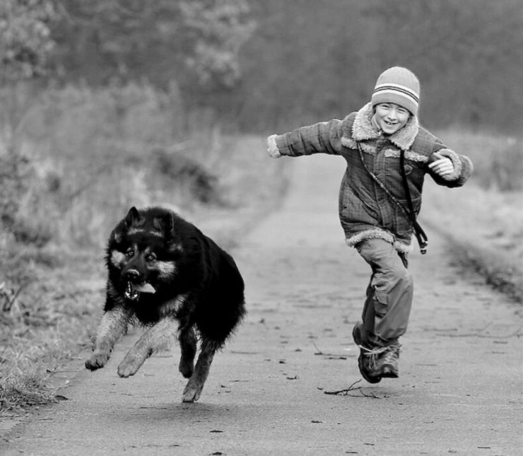 Foto pobudka #448 86