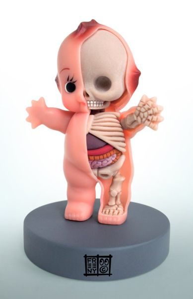 Anatomia dla najmłodszych. 11