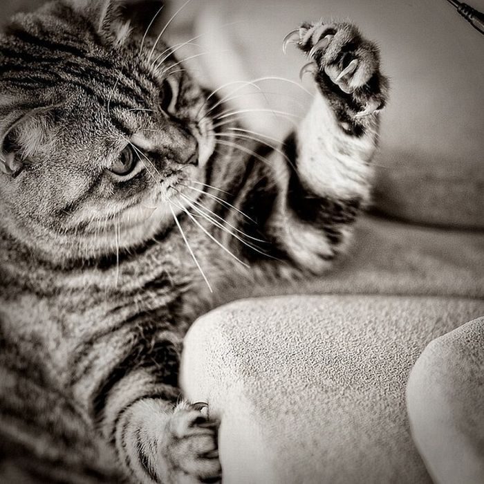 Foto pobudka #425 7
