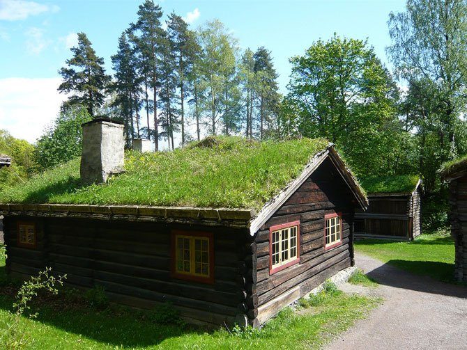 Zielone dachy w Norwegii #2 24