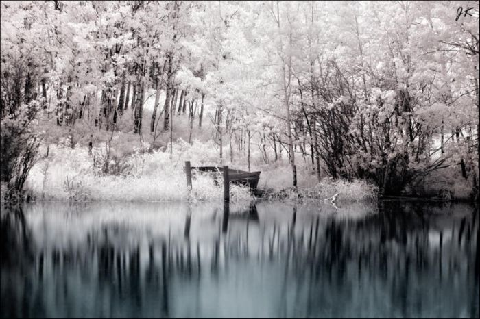 Fotografia w podczerwieni 12