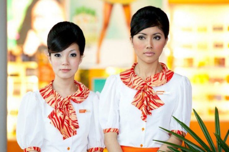Stewardessy 24