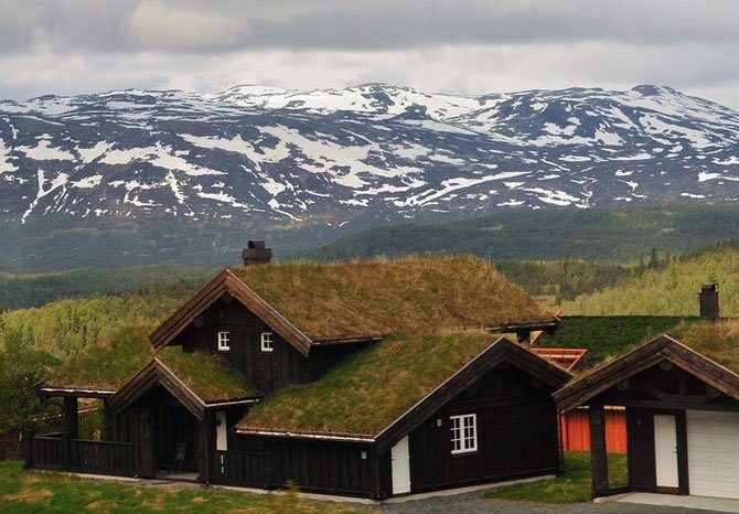 Zielone dachy w Norwegii #2 17
