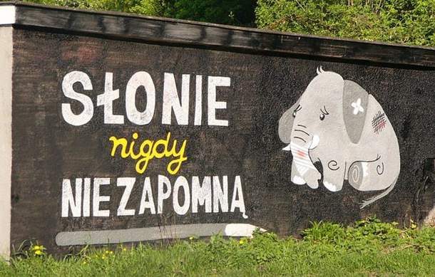 Foto pobudka #389 103