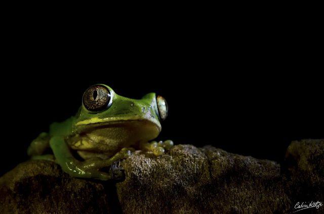 National Geographic 2012 11
