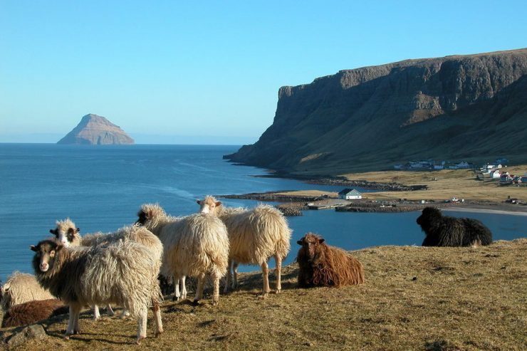 Wyspa Lítla Dímun 22