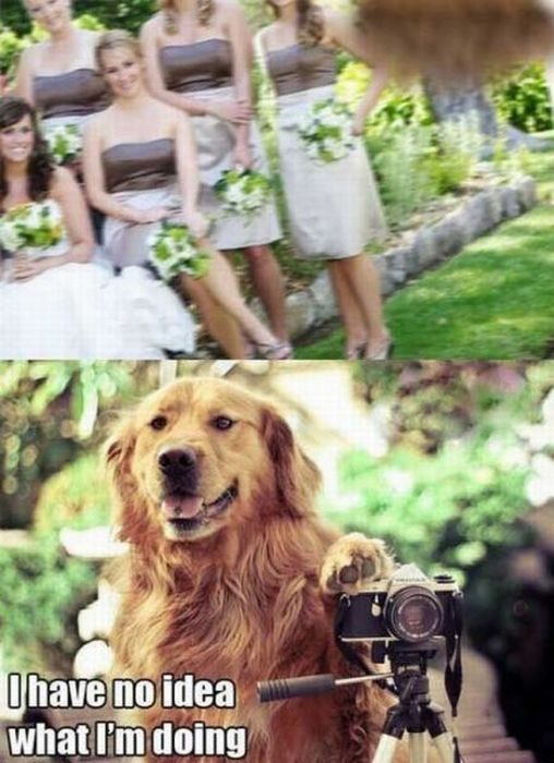Foto pobudka #512 7