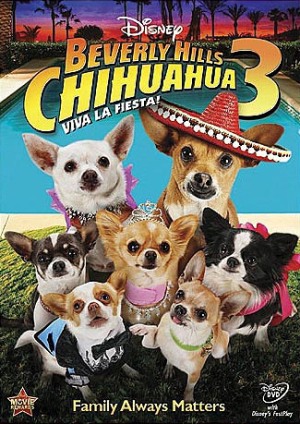 98OCHIHUAHUA39xF.jpg