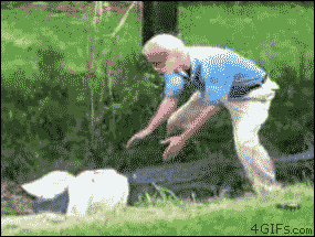 Animowane gify #144 23