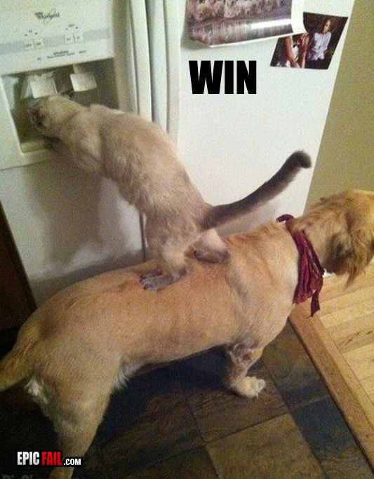 FAIL & WIN #12 17