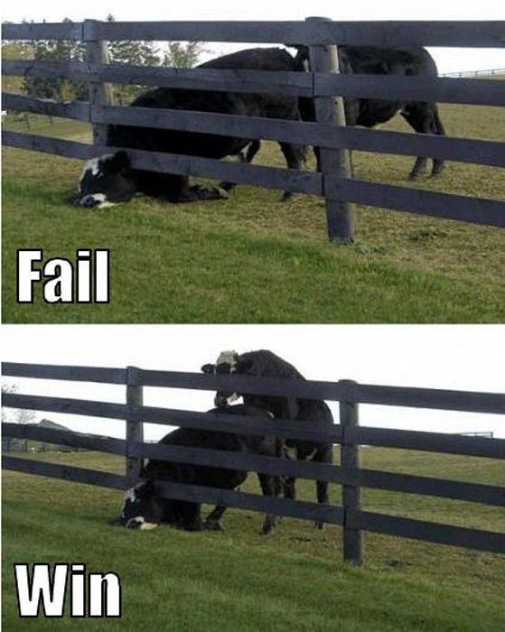 FAIL & WIN #51 17