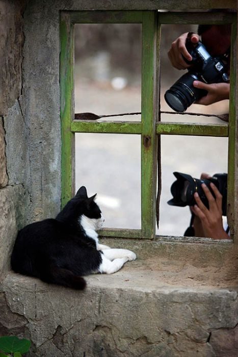 Foto pobudka #430 9